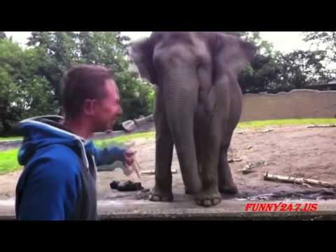 Tacabro tacata   Dj Katapulta Remix