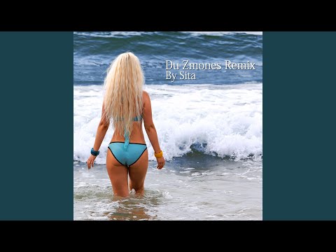 Du Zmones (Remix)