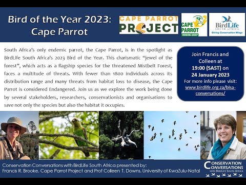Conservation Conversations: Bird of the Year 2023 Cape Parrot - Dr F Brooke & Prof C Downs (24Jan23)