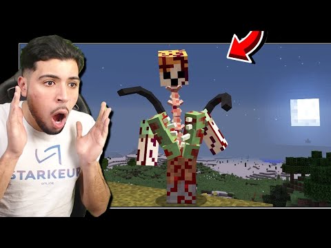 THIS MINECRAFT BUG MUST REMOVE FROM THE GAME!