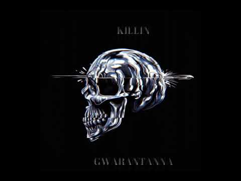 07. KILLIN (LAIKIKE1 x SOULPETE) - GWARANTANNA