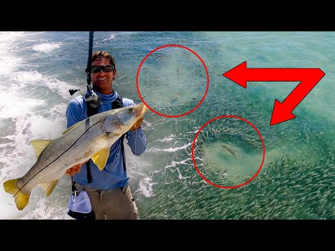 If You See These Holes at the Beach... CAST! - Florida Beach FISHING