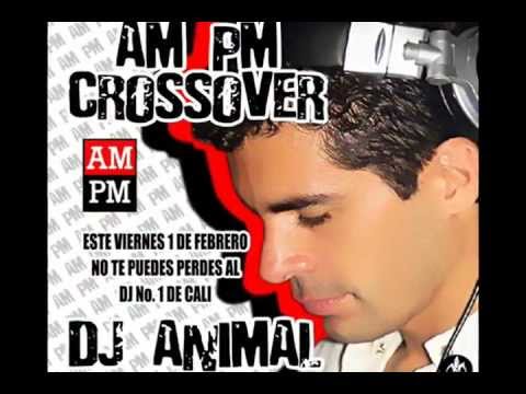 Promo DJ ANIMAL En AmPm Cali By @JavierMayor Pin 286B9AD0