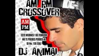Promo DJ ANIMAL En AmPm Cali By @JavierMayor Pin 286B9AD0