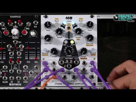 4MS STS Stereo Triggered Sampler - Black image 2