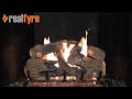 Real Fyre 30" Charred Northern Oak Vented Propane Gas Logs Set with Electronic Pilot Kit