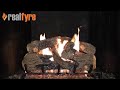 Real Fyre 24" Charred Northern Oak Vented Propane Gas Logs Set with Electronic Pilot Kit