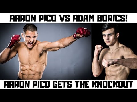 Aaron Pico vs Adam Borics Full Fight Prediction and Breakdown for Bellator 222 Betting and Odds