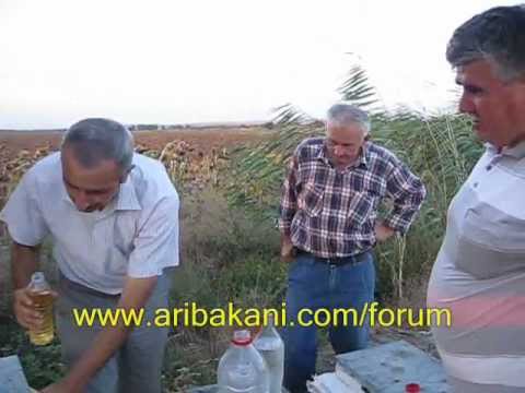 Laktik asit uygulaması, varroa mücadelesi, arıcılık videosu - YouTube