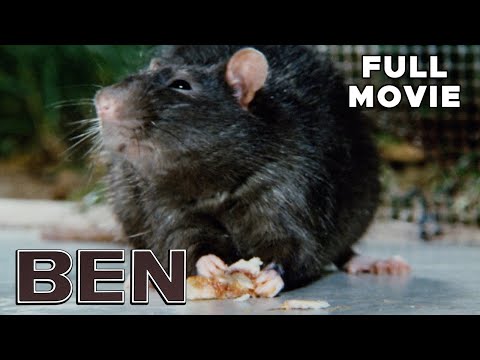 Ben | FULL MOVIE | Horror Thriller Rats