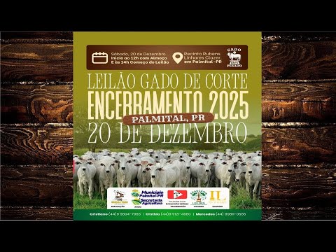 LEILÃO GADO DE CORTE - ARAUCÁRIA LEILÕES - ENCERRAMENTO 2025 - PALMITAL- PR - 13/12/2025 - 14h