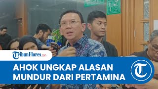 Ahok Ungkap Alasan Mundur dari Komut Pertamina, Beda Pandangan Politik: Saya Dukung Ganjar