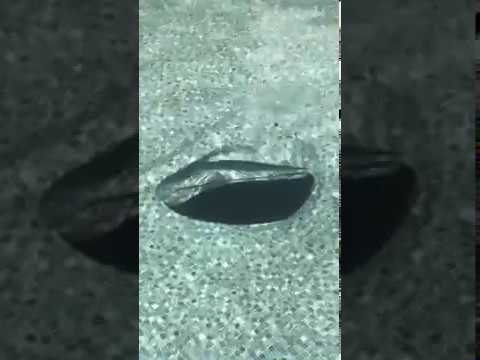 Above Ground Pool Sinkhole Floor Collapse