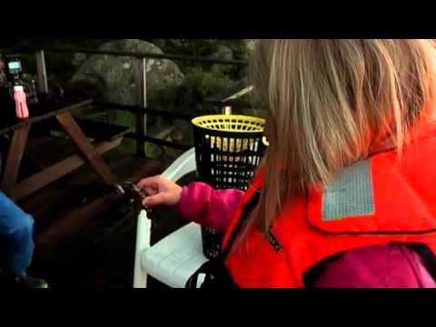 Första kräftorna från Skånes Värsjön på tio år