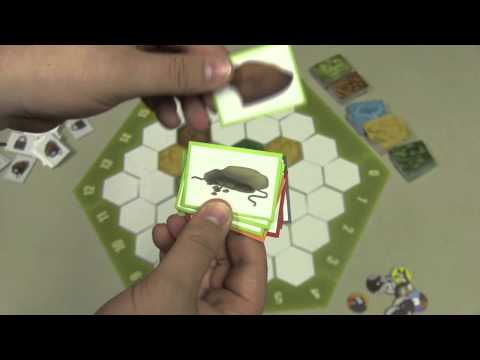 Dice Tower Reviews: Deserted Animals