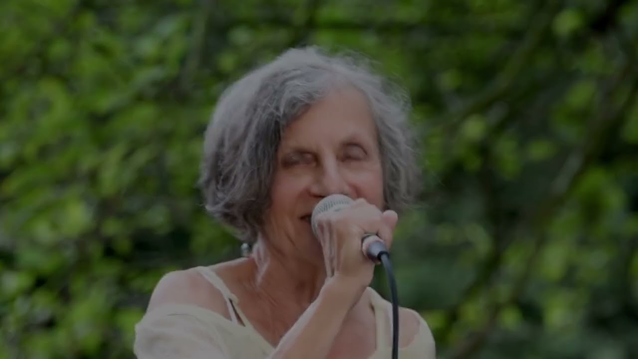 Promotional video thumbnail 3 for Ronni Weiss
