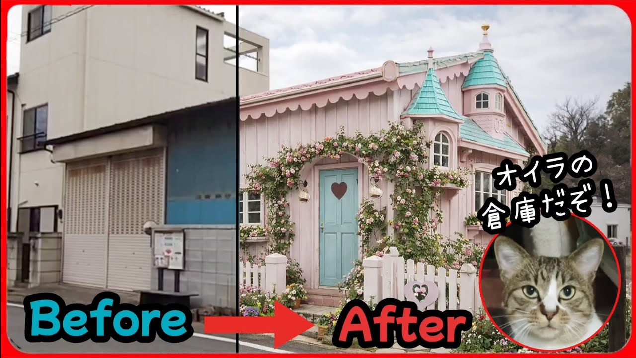 【倉庫のリフォーム完了！】猫たちの倉庫がこんな具合に仕上がりました！20260401、カラス＆四つ足クインテット（仮）