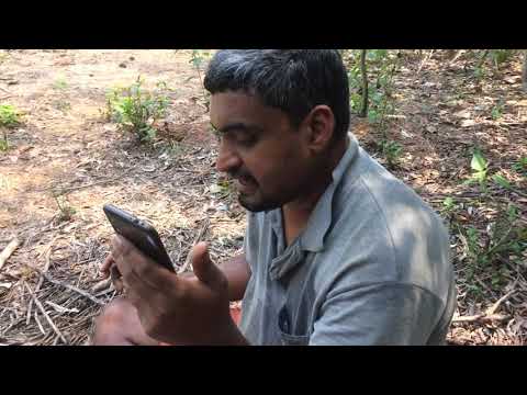 Parthasarathy Nannu | Madhyamavati | Roopaka thaalam  | Poochi Srinivasa Iyengar