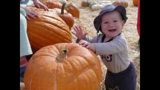 Happy 1st Birthday, Desmond!