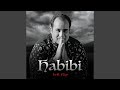 Habibi Lofi Flip