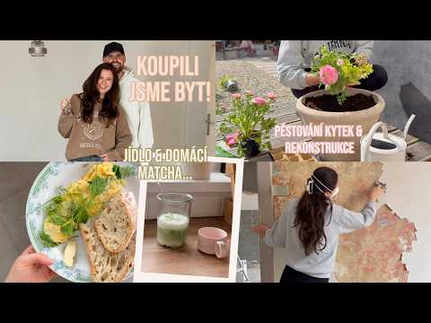 VLOG | Koupili jsme BYT k rekonstrukci, recept na matchu & zahrádka...