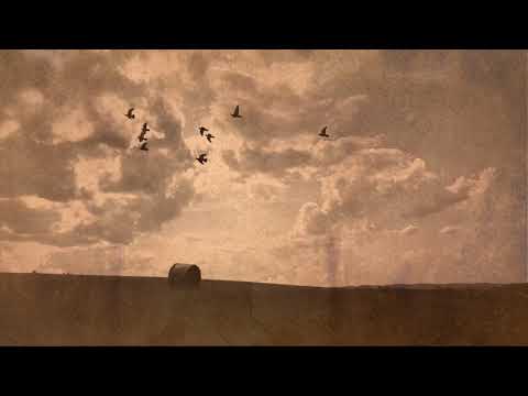 Bára Zmeková - Máky (live @Studio ALTA - 20.3. 2019 - MUSIC VIDEO)