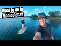 Best things to do in Mooloolaba || Sunshine Coast, Queensland