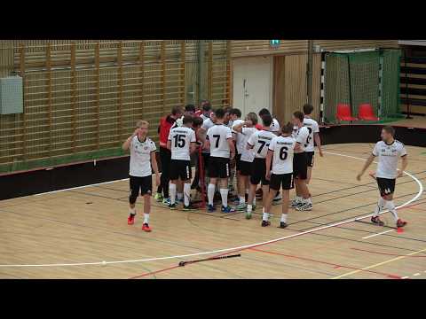 181026 Herrar Div1 VGR Herrestads AIF - Mölndals IBF (2-3) Seger