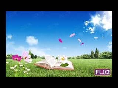 ✅Meditação Cristã Guiada☑