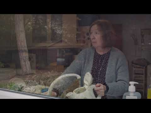 VERT Tree 40s cut18 50s VO 2018 11 24  MP4 FULL SIZE