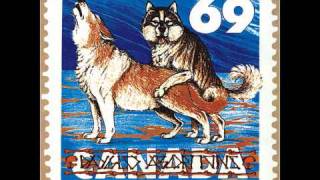 Dayglo Abortions - I Do The Best That I Can