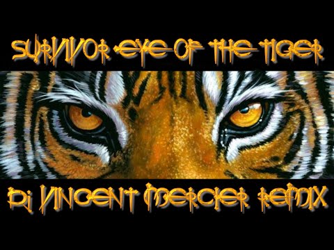 Survivor - Eye of the tiger (Roar Remix) From Rocky 3 soundtrack