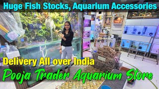 Huge Fish Stock at Pooja Trader Aquarium Store I Delivery Available All Over India