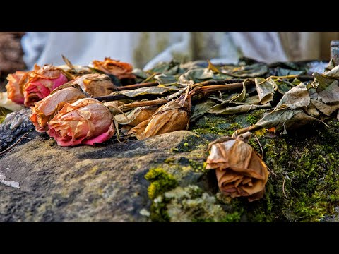 On the aesthetics of the ugly: ambiguity & ambivalence