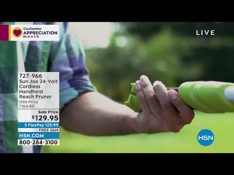 Sun Joe 24Volt Cordless Handheld Reach Pruner