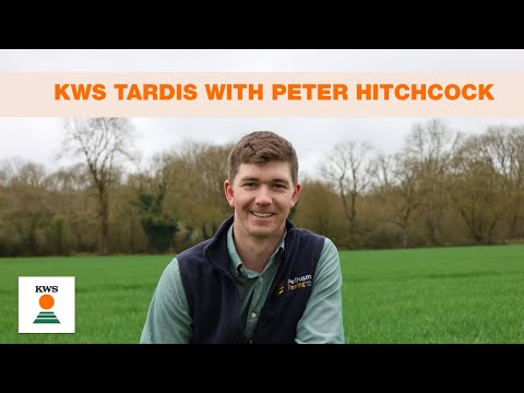 KWS Tardis with Peter Hitchcock