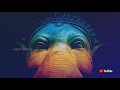 Ganapathy Whatsapp Status Vinayagar Pillaiya R Vinayagar Pillayar Vinayagar Chathurthi