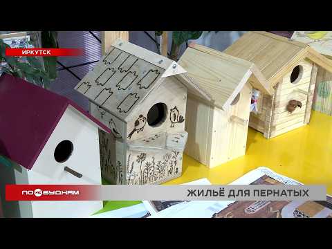 Больше 150 скворечников и синичников изготовят иркутяне для фестиваля "Домик СчастьЯ"