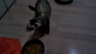 怒りのどんぶり回し
