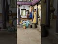 How Serious We Are Pandian Stores Bloopers Shorts Hema S Diary