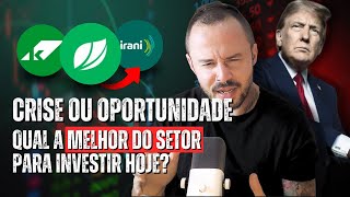 QUEDA NAS AÇÕES DA SUZANO É OPORTUNIDADE ÚNICA OU MELHOR FOCAR EM KLABIN E IRANI - SUZB3 KLBN4 RANI3