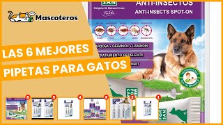 Las 6 mejores pipetas para gatos