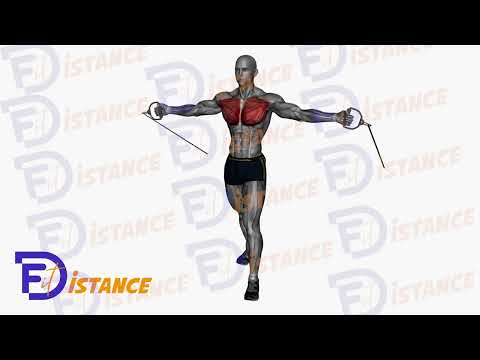 Exercice Écartés avec élastiques