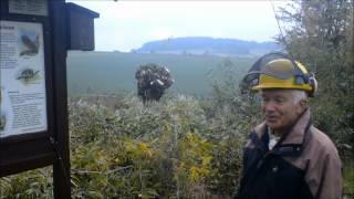 preview picture of video 'Das Schneiteln der Kopfweiden auf der Streuobstwiese Kirchberg bei Förste'