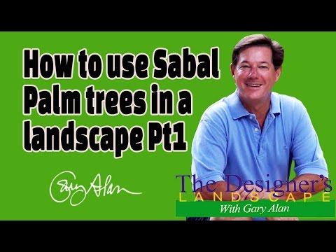 How to use Sable Palms in a Landscape Pt 1 DesignersLandscape#608