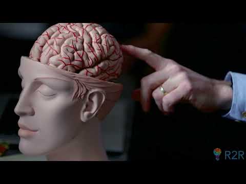 The Biggest Face Perception Experiment in History