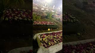 Download lagu Allah sabki magfirat farmaye 🤲#ameen #jannat #islam #quotes #shorts #love #sad #missing #facts#peace mp3 Download lagu Allah sabki magfirat farmaye 🤲#ameen #jannat #islam #quotes #shorts #love #sad #missing #facts#peace mp3