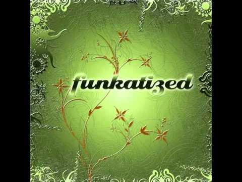 Funkatized - Let Me Know