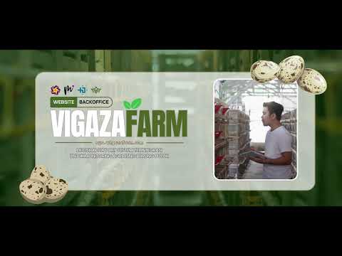 Decision Support System Vigaza