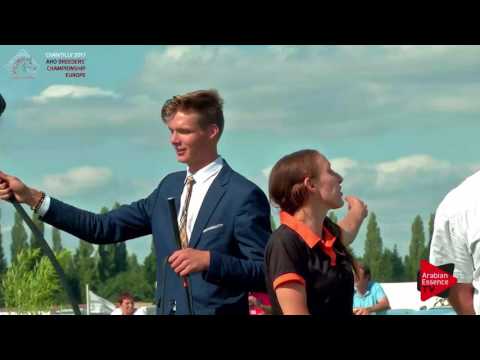 1ST PLACE N.62 AL PICASSO - Chantilly 2017 European BC - Colts Championship (Class 14)